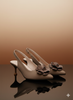 Ladies Coat Shoes CT-13/CT13